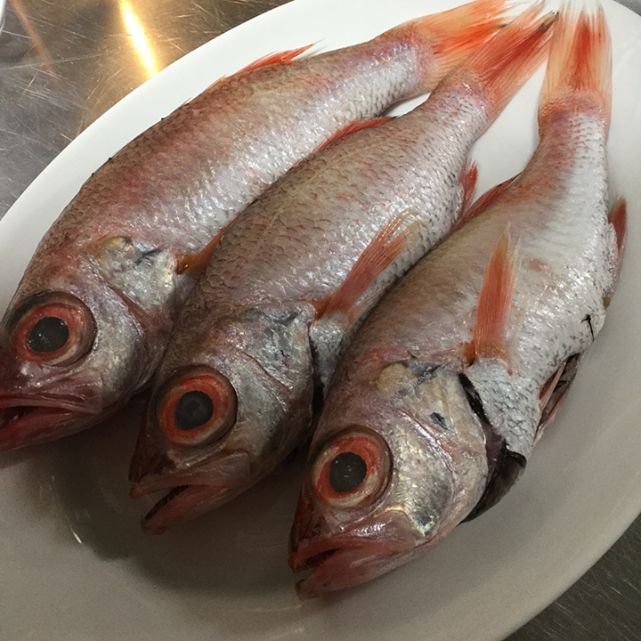 新鮮な魚たち入荷しました️
脂ののったノドグロにメバル、小アジ(ジンタ) ノドグロとメバルはアクアパッツァ、ズッパディペッシェに、小アジはスカペーチェ(南蛮漬け)でお出しします 今週もよろしくお願いします😎️