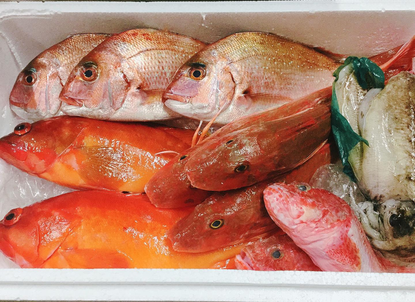 豊洲市場から新鮮な魚介が入荷しましたー️
福岡の天然真鯛、ホウボウ、コウイカ。
長崎のアカハタとオニカサゴ。

特にイチオシはアカハタ️
アクアパッツァでお出しします。
ちょっと良いお値段ですが、絶対美味しいので是非
コウイカのイカスミパスタ、リゾットも好評です